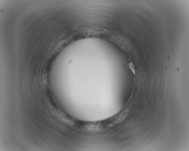 X0000080730756200612150903