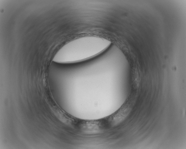 X0000080730758200612150903