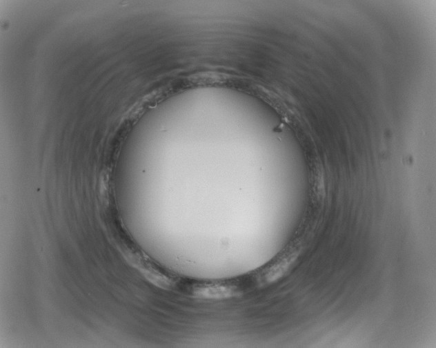 X0000080730759200612150903