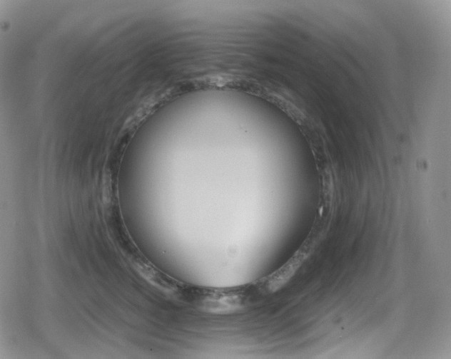 X0000080730760200612150903