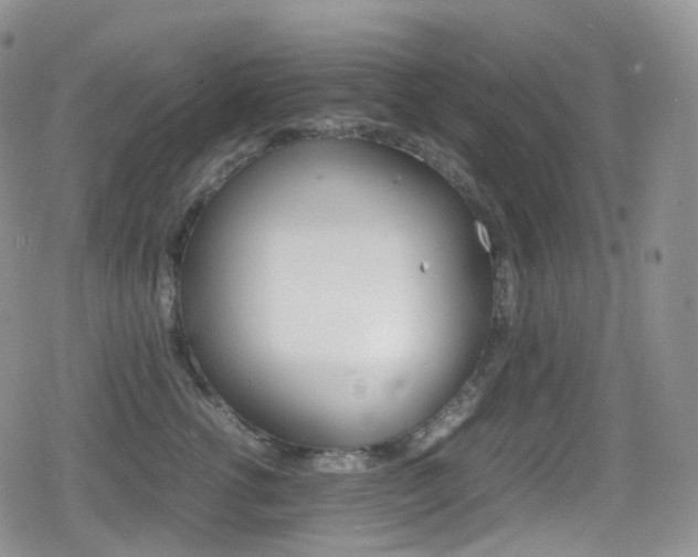 X0000080730762200612150903