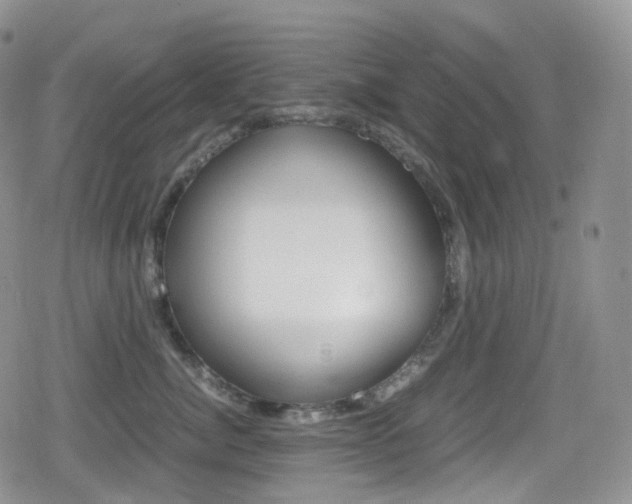 X0000080730764200612150903