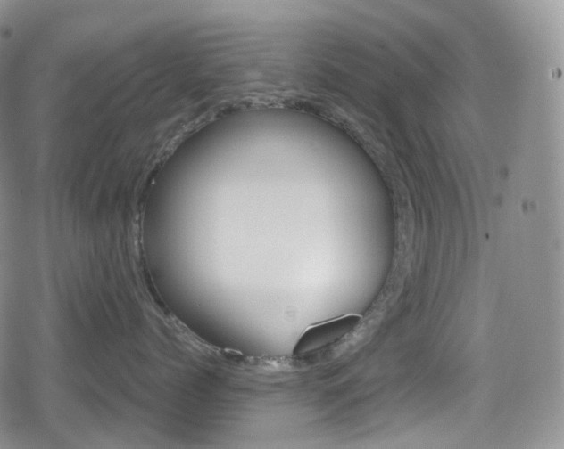 X0000080730768200612150903