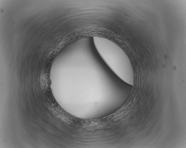 X0000080730772200612150902