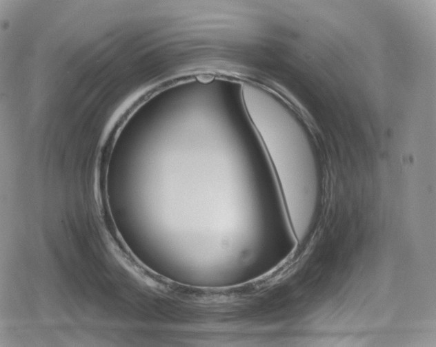X0000080730788200612150902