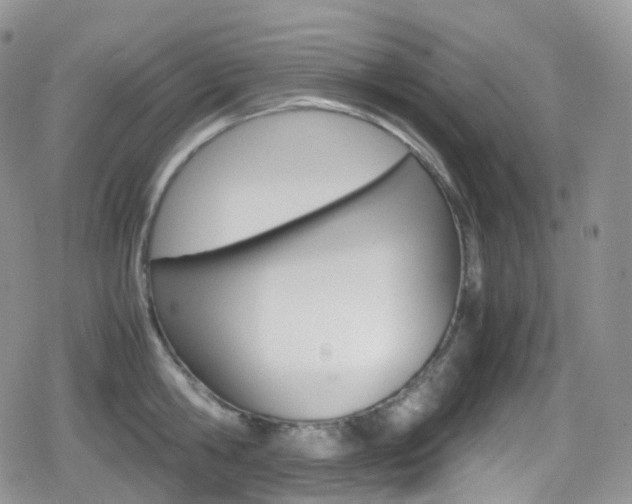 X0000080730806200612150902