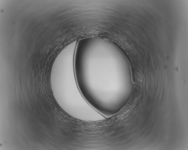 X0000080730818200612150901