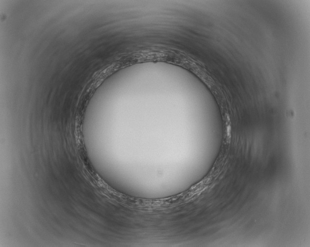 X0000080730819200612150901