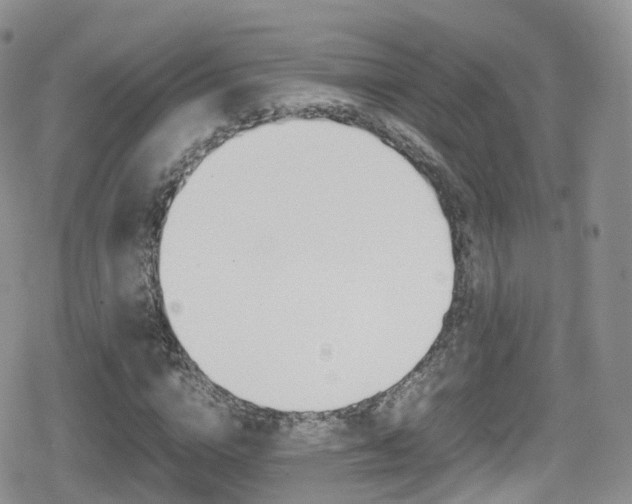 X0000080730824200612150901