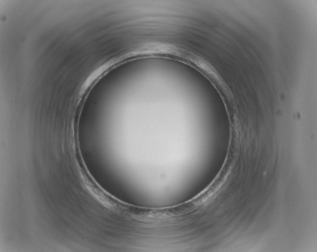 X0000080730842200612150901