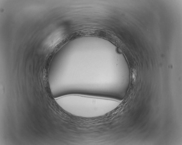 X0000080730867200612150901