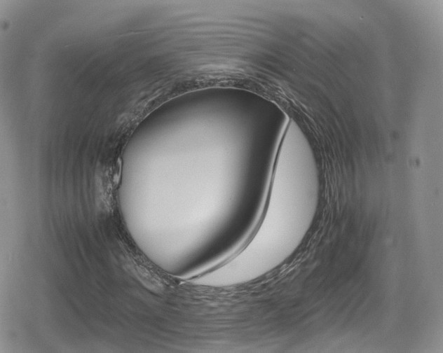 X0000080730868200612150901