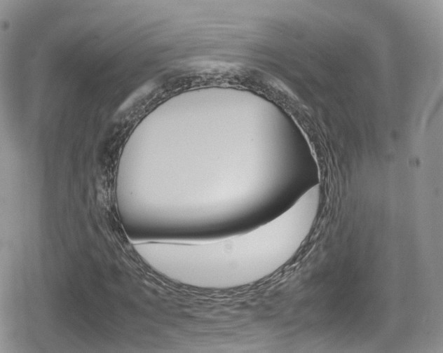 X0000080730869200612150901