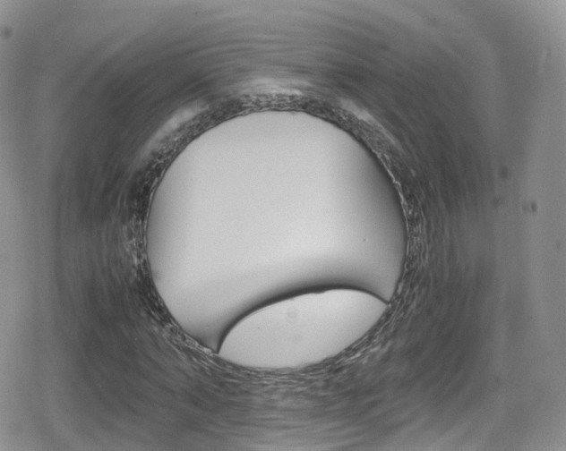 X0000080730870200612150901