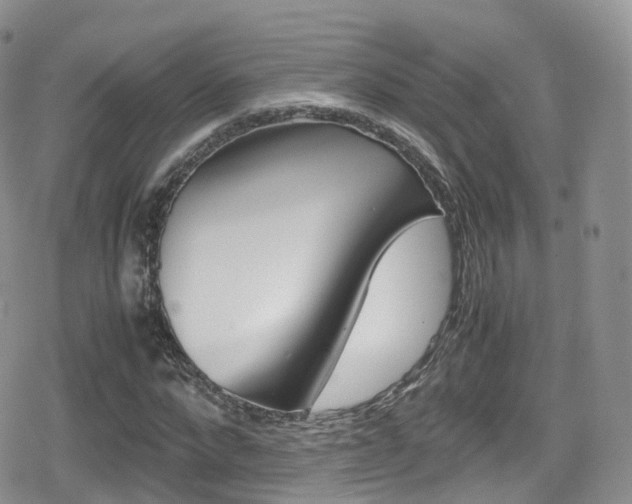 X0000080730872200612150901