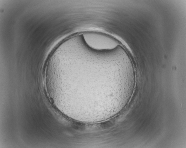 X0000080730887200612150900