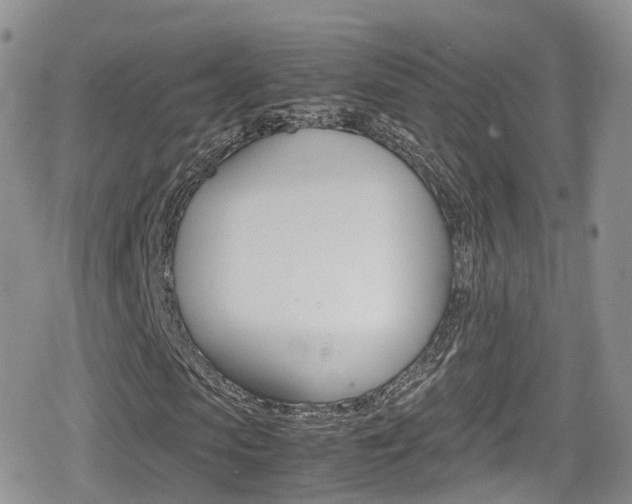 X0000080730913200612150859