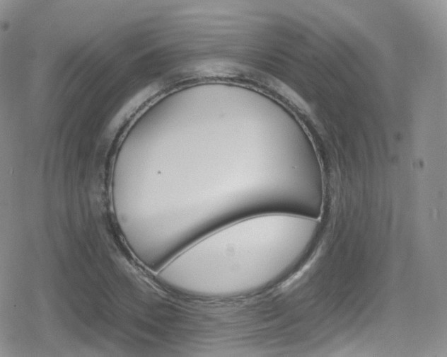X0000080730930200612150859