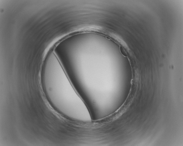 X0000080730936200612150900