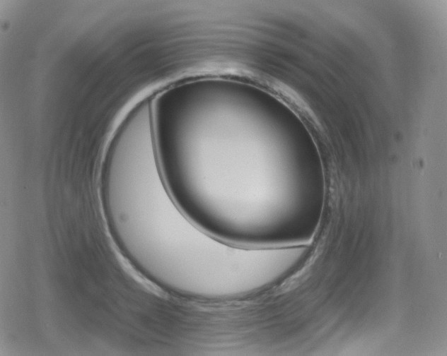 X0000080730942200612150900