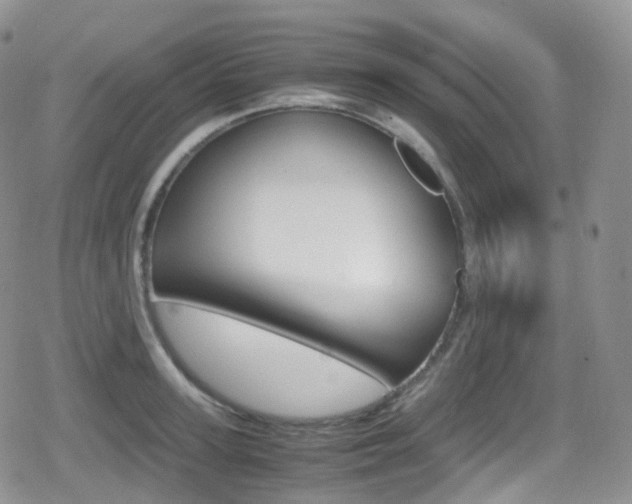 X0000080730947200612150900