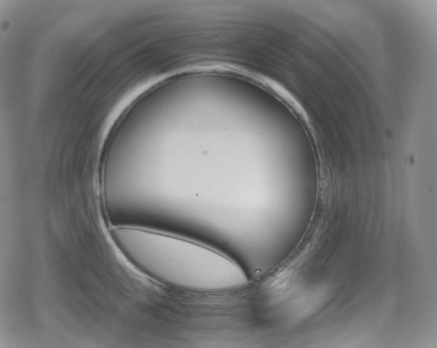 X0000080730951200612150900