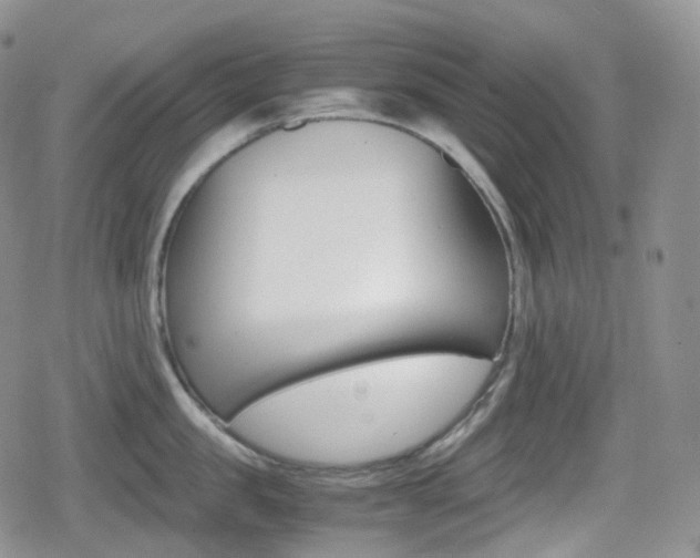X0000080730957200612150900