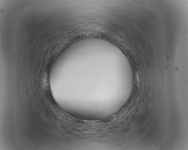 X0000080730963200612150859
