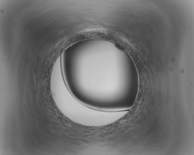 X0000080730965200612150859