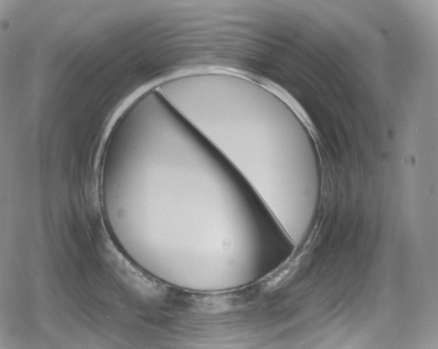 X0000080731004200612150858