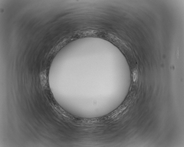 X0000080731011200612150858