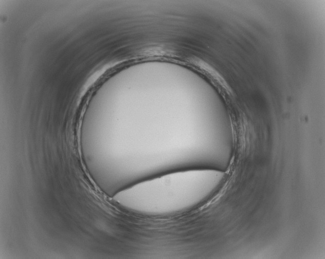 X0000080731023200612150858