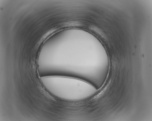 X0000080731025200612150858