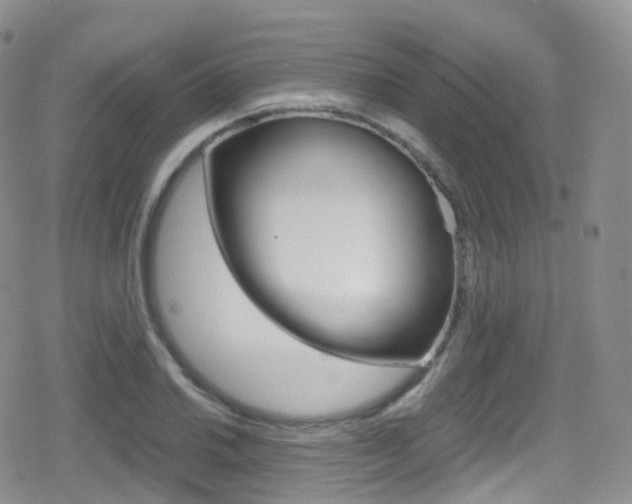 X0000080731030200612150858