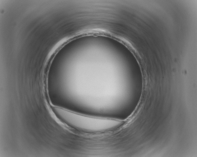 X0000080731038200612150858