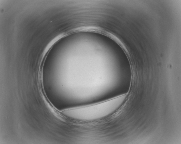 X0000080731050200612150858