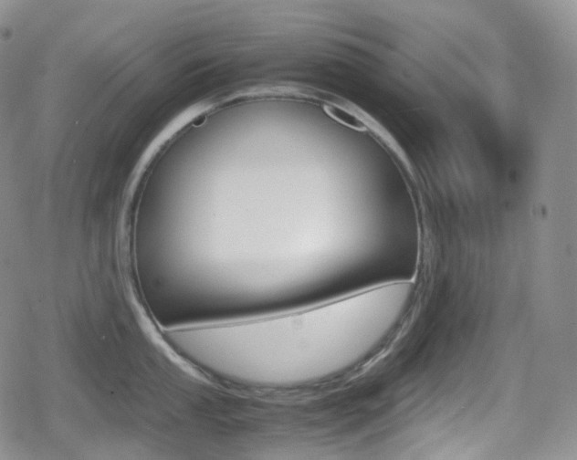 X0000080731053200612150858