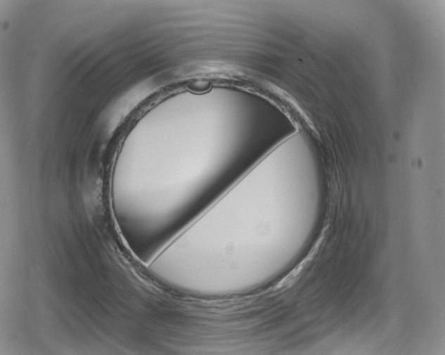 X0000080731066200612150857