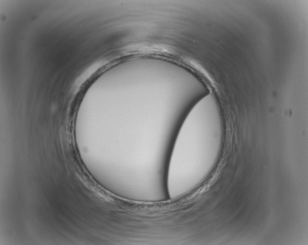 X0000080731071200612150857