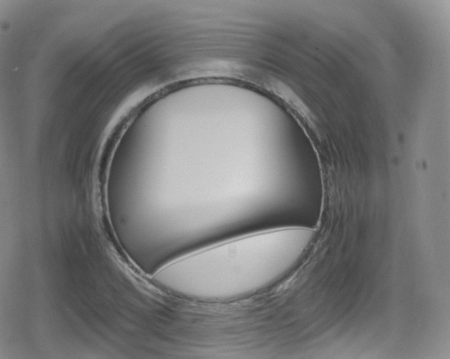 X0000080731072200612150857
