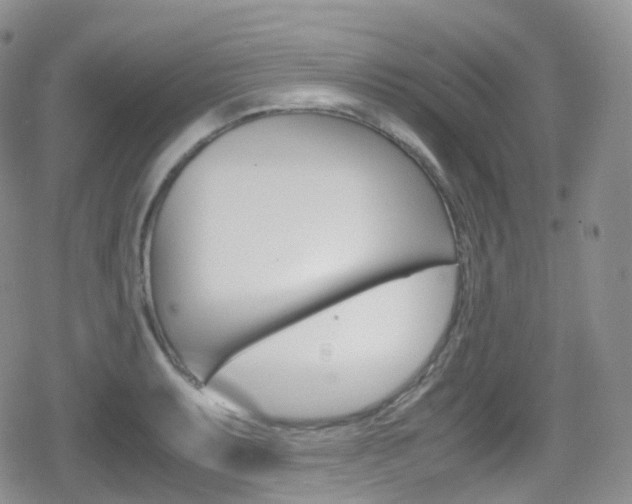 X0000080731087200612150857