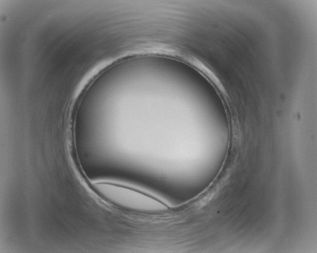 X0000080731093200612150857