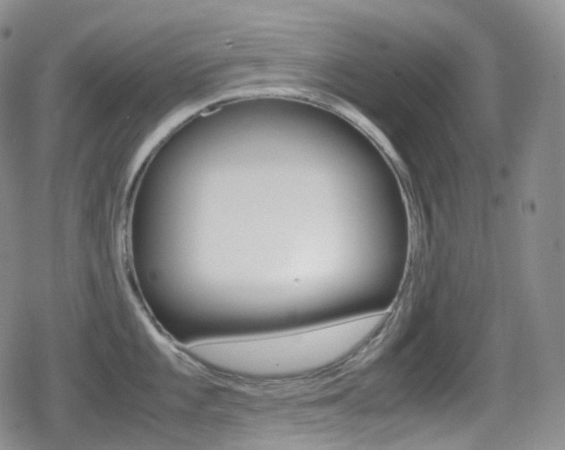 X0000080731101200612150857