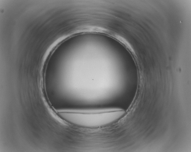 X0000080731136200612150857