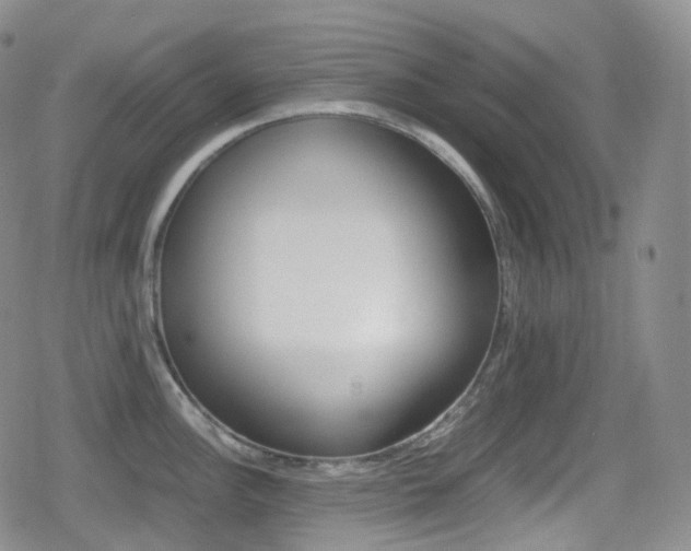 X0000080731148200612150857