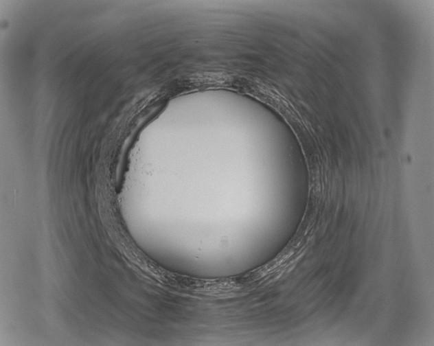 X0000080731201200612150854