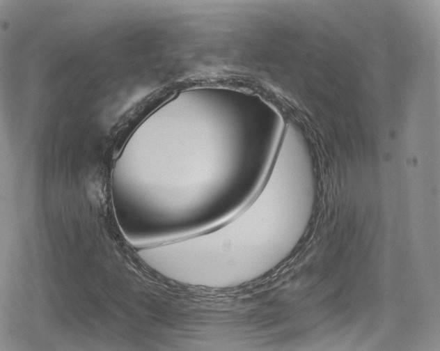 X0000080731206200612150855