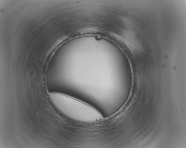 X0000080731217200612150855