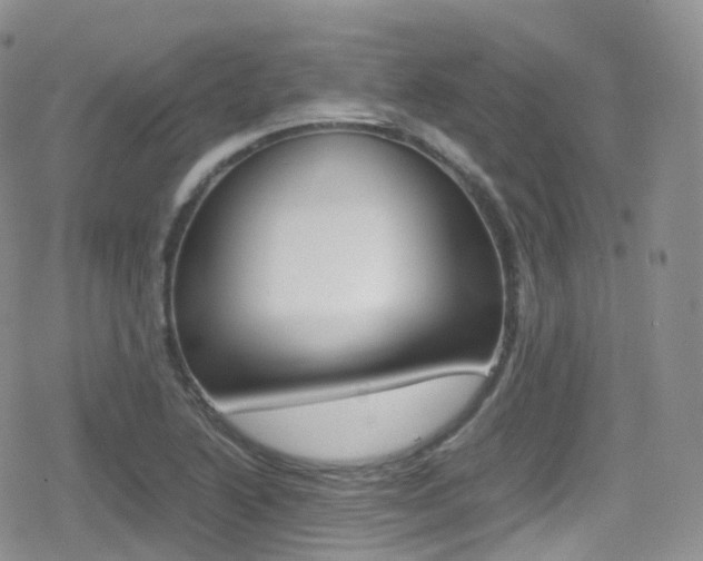 X0000080731222200612150855