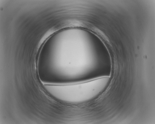 X0000080731226200612150855